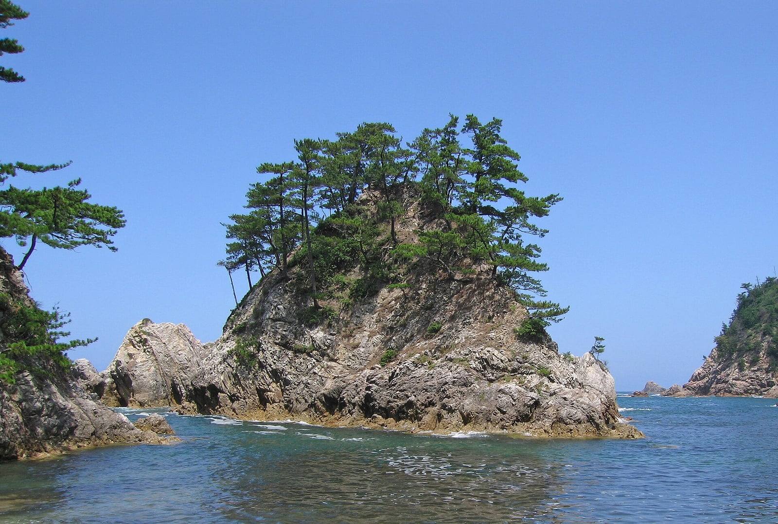 Pinos negros japoneses de troncos esbeltos y copas escalonadas coronando un islote rocoso, sobre un mar azul turquesa y bajo un cielo despejado.